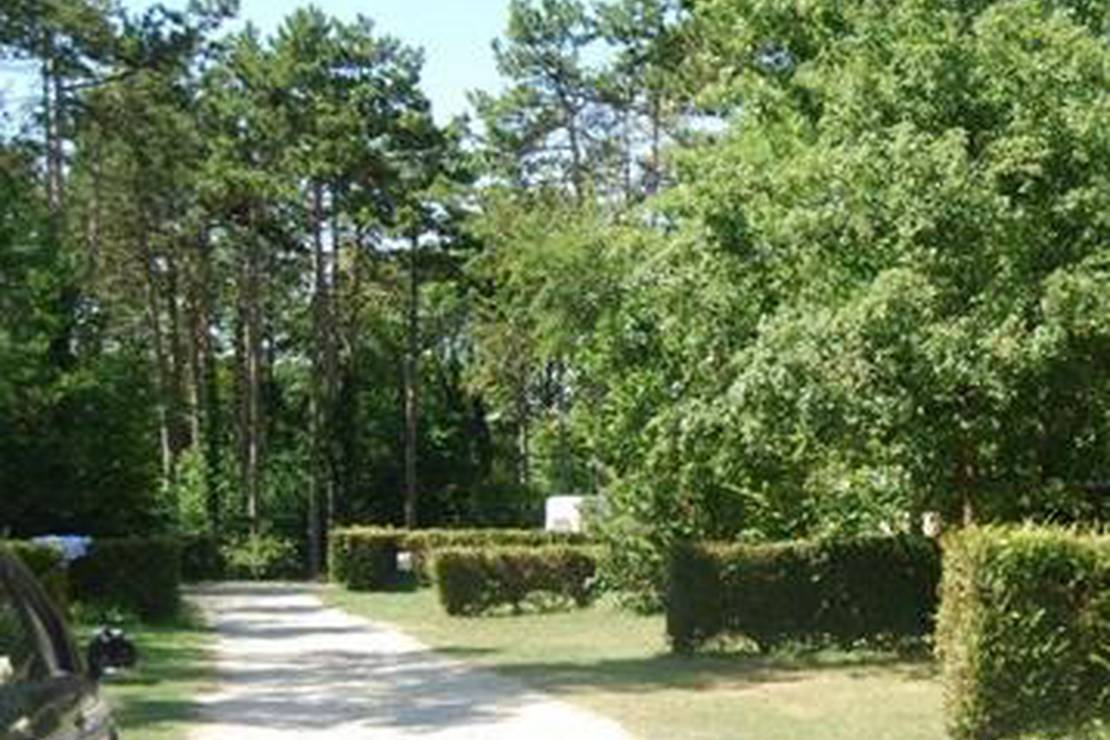 Camping Caravaning Bois de la Justice 6
