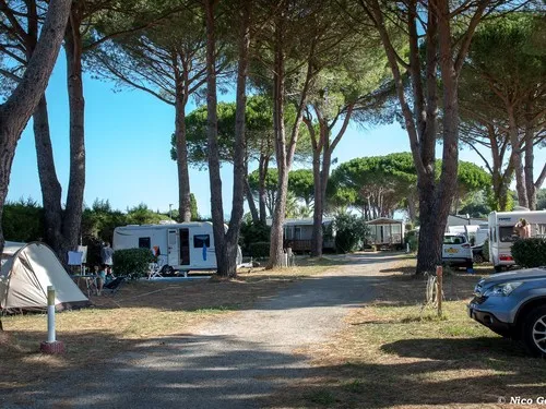 Camping Le Vaudois 5