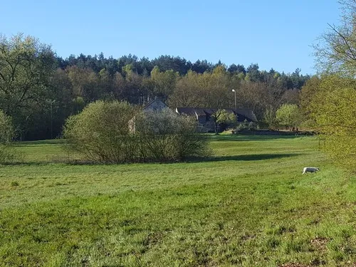 Camping Carpe Diem 5