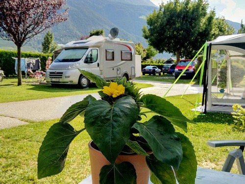 Camping Goldrain Cevedale 2