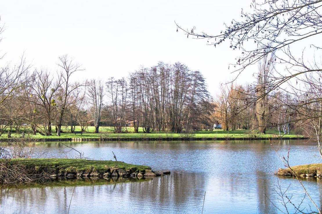 Camping Champ d'été 4
