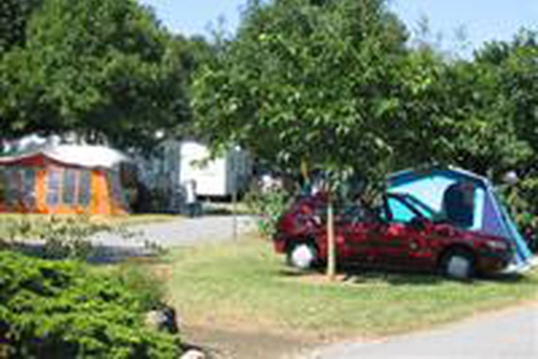 Camping Chant Des Oiseaux 4