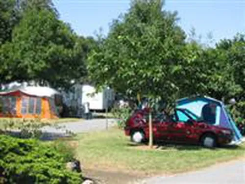 Camping Chant Des Oiseaux 3