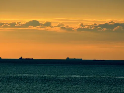 Camping Chant Des Oiseaux 7