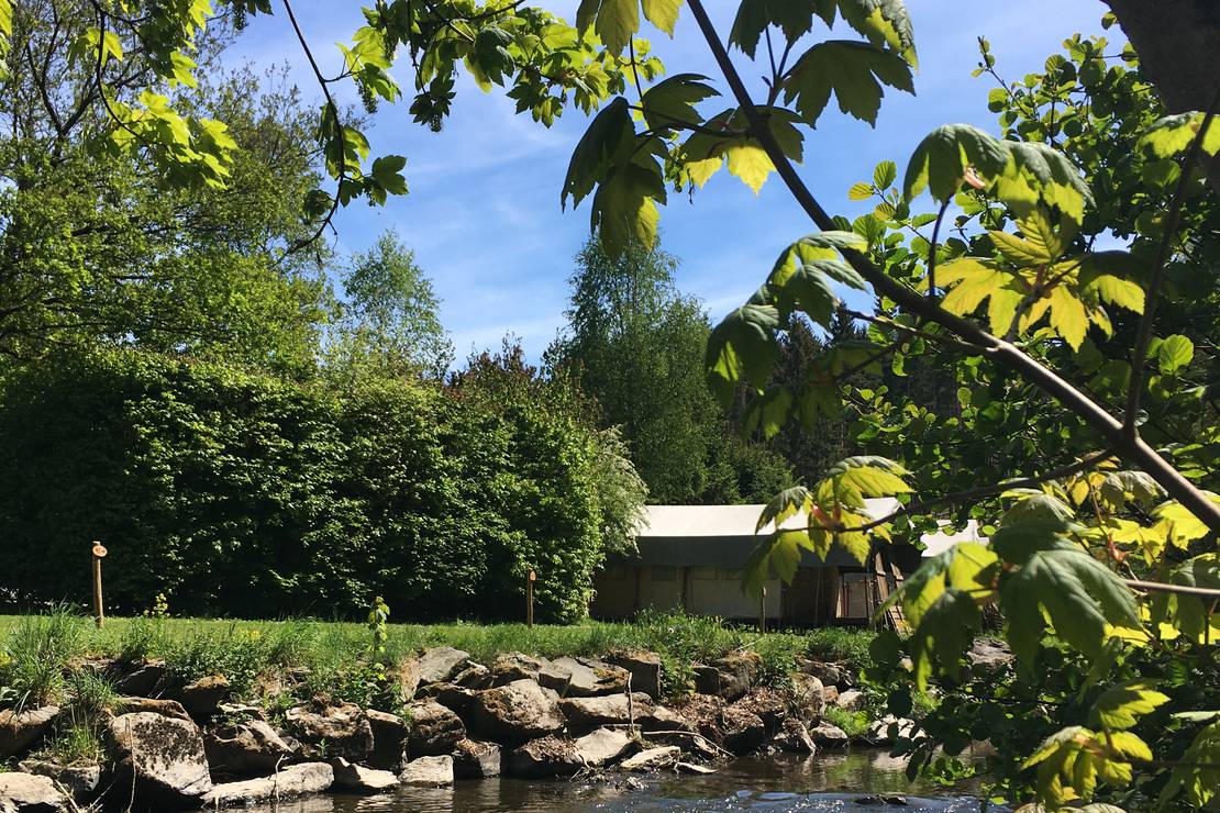 Camping C&P Houffalize
