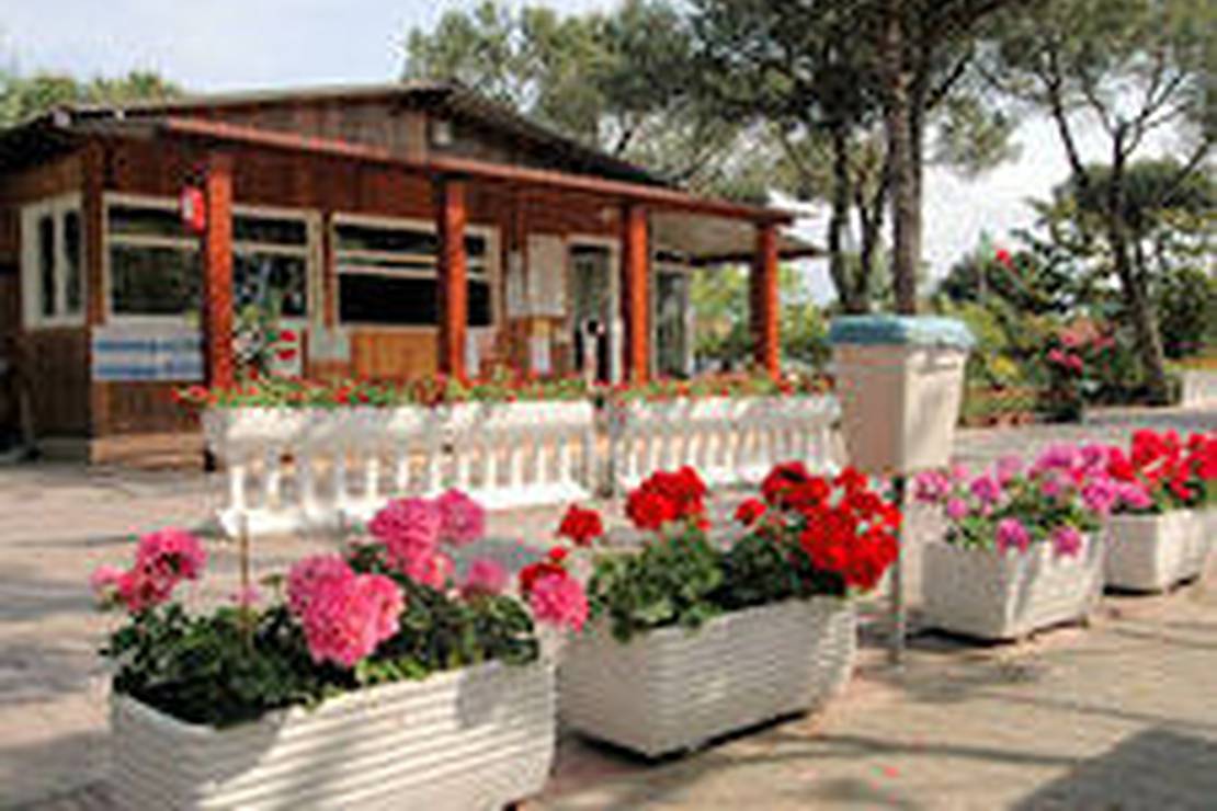 Camping Citta` di Massa 4