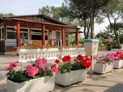 Camping Citta` di Massa 3