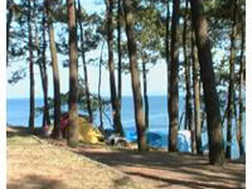 Camping Coroso 3