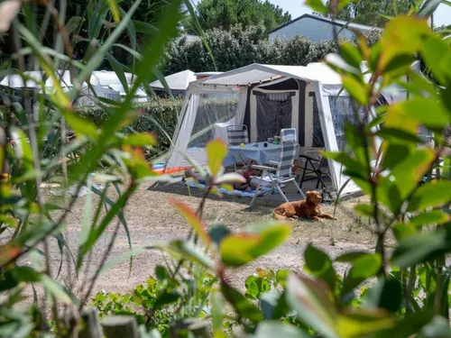 Camping Côté Plage 5