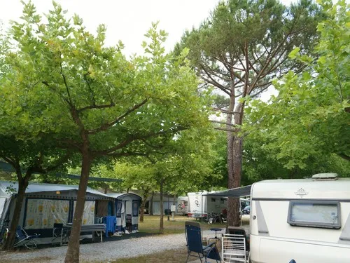 Camping Dal Pino 5