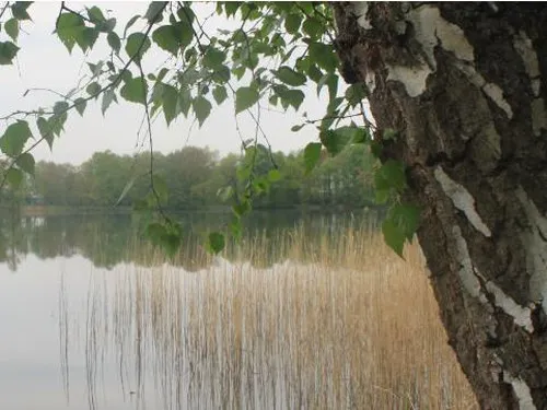 Camping Dammmühlenteich 3