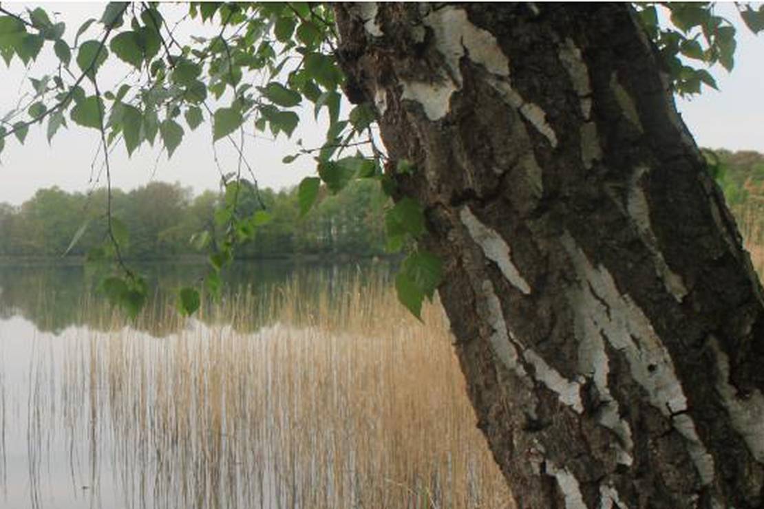 Camping Dammmühlenteich 4