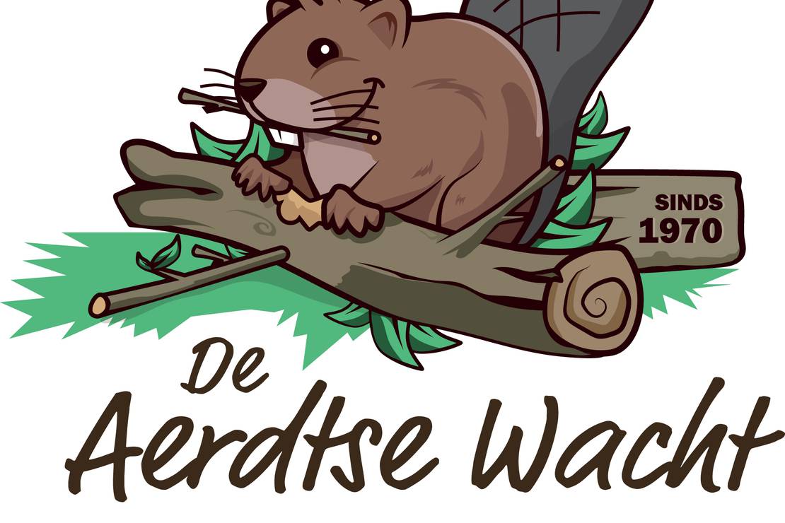 Camping de Aerdtse Wacht 4