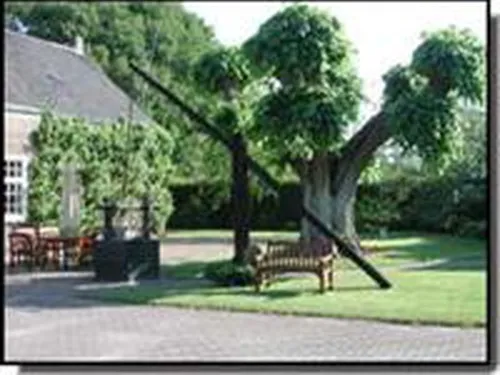 Camping De Beekhoek 6