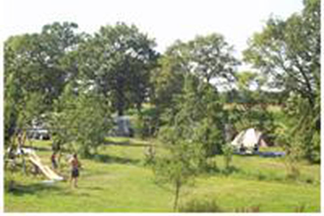 Camping De Bongerd 4