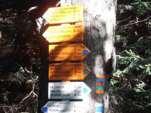 Camping De Bongerd 5