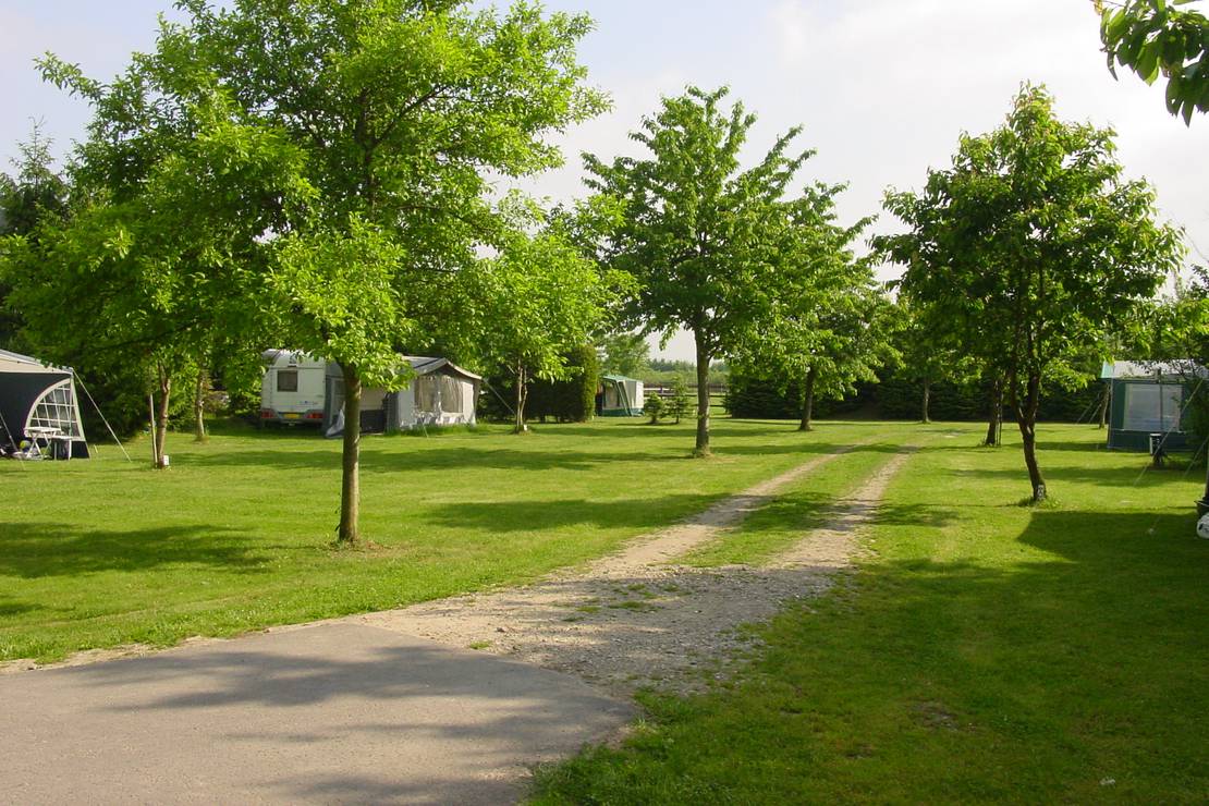 Marian van den Bosch 4