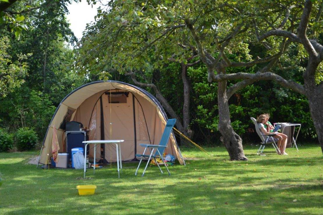 Camping De Boshoek 4
