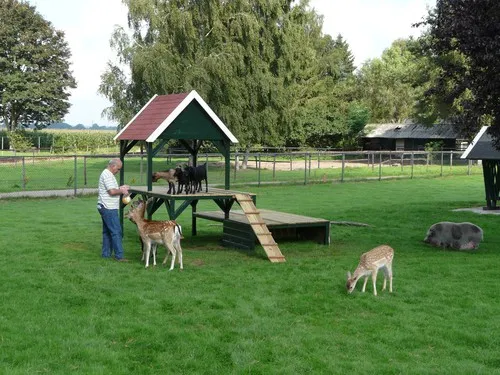 Camping De Bosrand 5