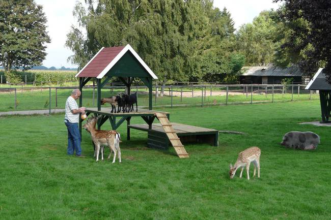 Camping De Bosrand image 1