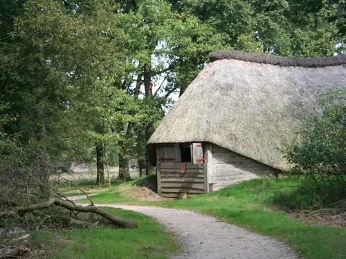 Camping De Bovenberg 5