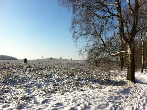 Camping De Bunders 5