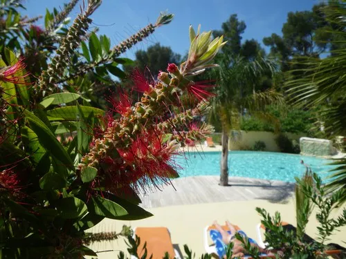 Camping De Ceyreste 6