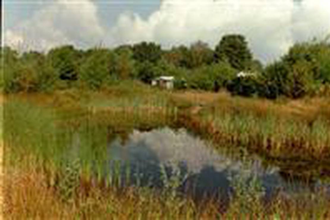 Camping De Coolewee 4