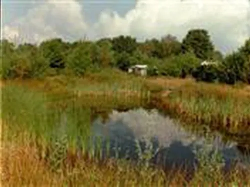 Camping De Coolewee 3