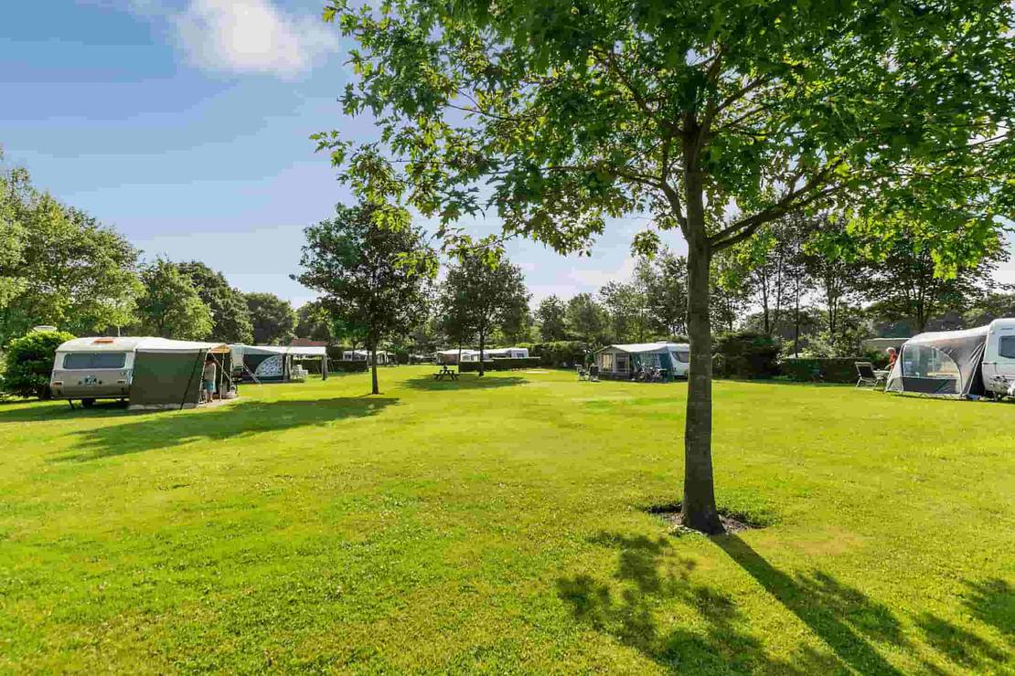 Camping De Deelderij 4
