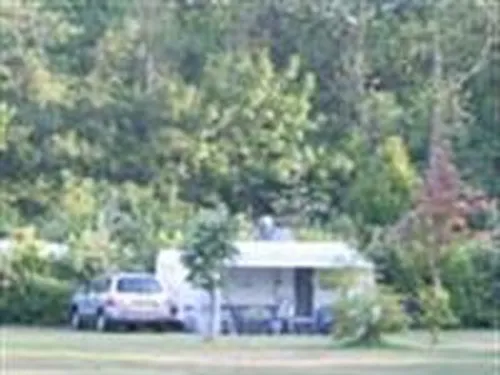 Camping De Donkere Duinen 6