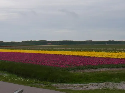 Camping De Donkere Duinen 8