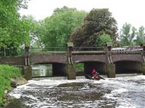 Camping De Donkershoeve 5