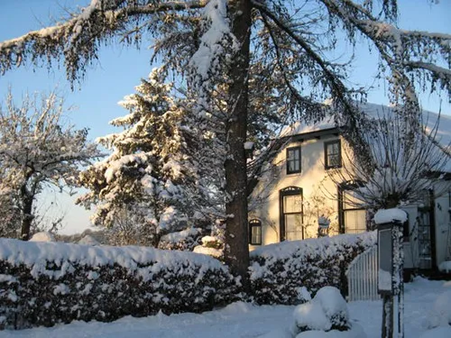 Camping de Drentse Patrijs 5