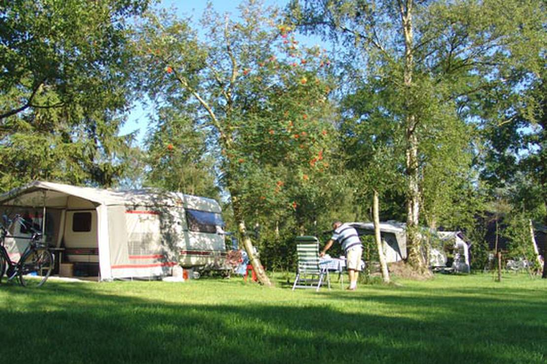 Camping de Drentse Patrijs 4