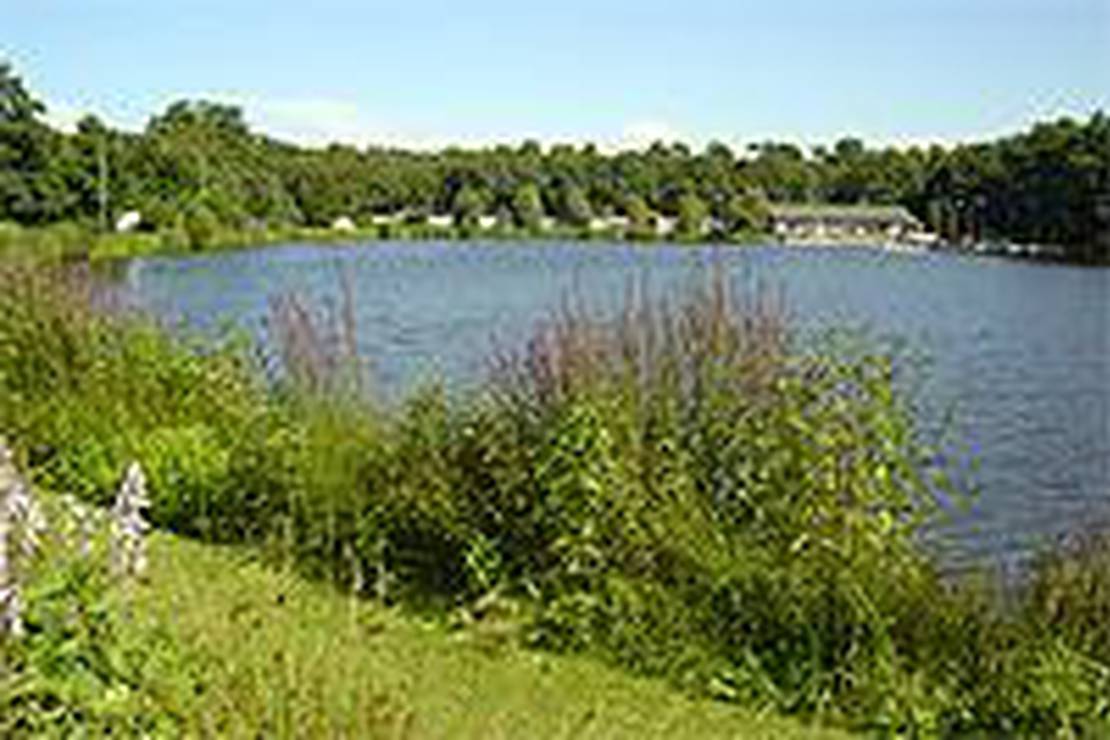 Camping De Entekoele 5