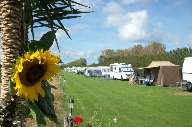 Prachtige ruimtelijke camping met heel veel sfeer van vakantie. Schoonheid en onderhoud van alles ten top zo goed.