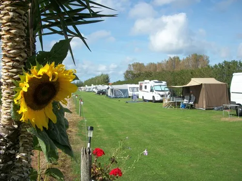 Camping De Groene Strook 5