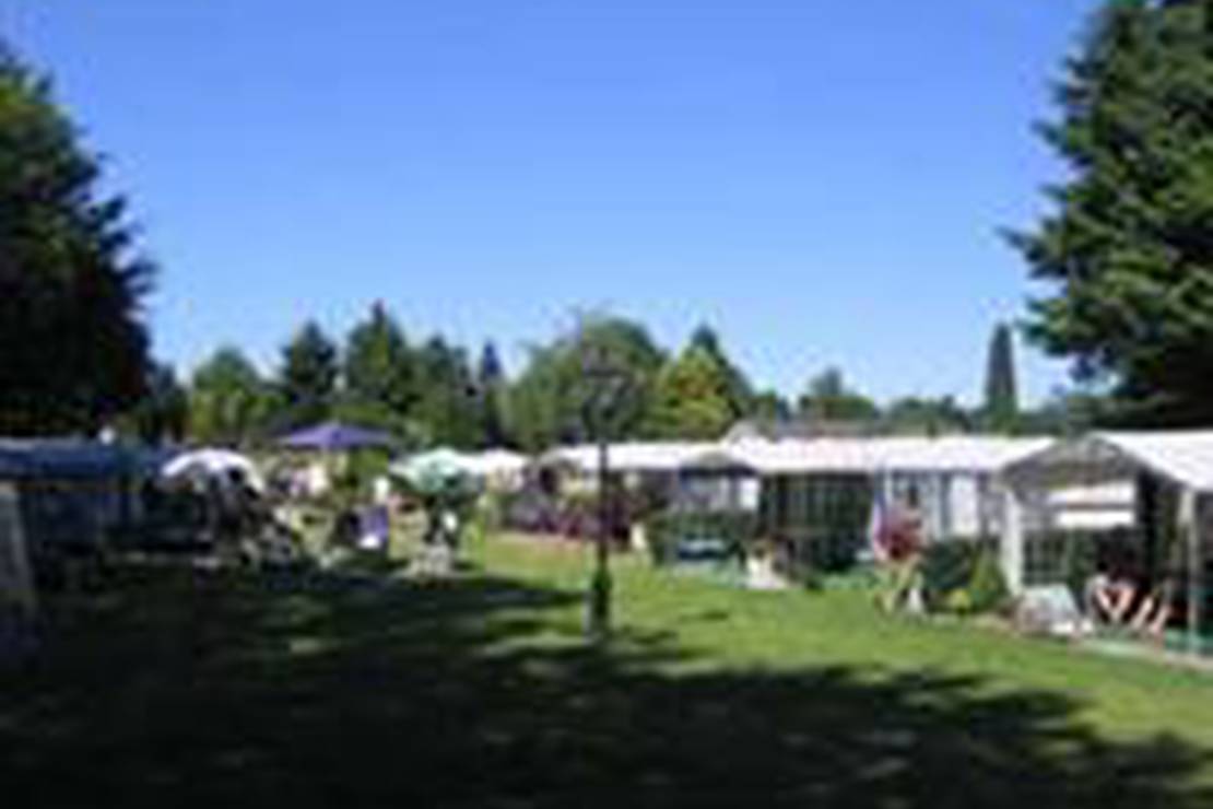 Camping De Hanenburg 4
