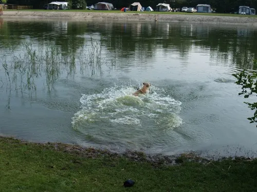 Camping De Havixhorst 6