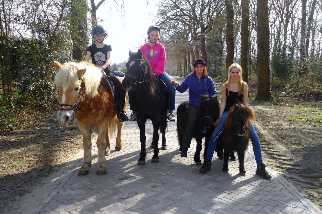 Camping De Havixhorst 5