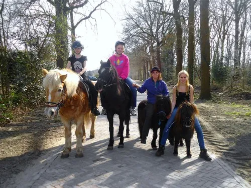 Camping De Havixhorst 4