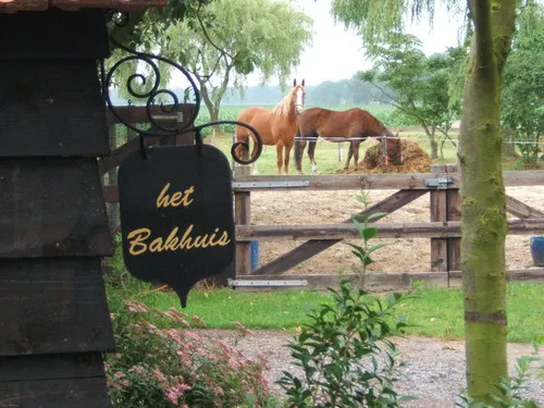 Camping De Heibloem 5