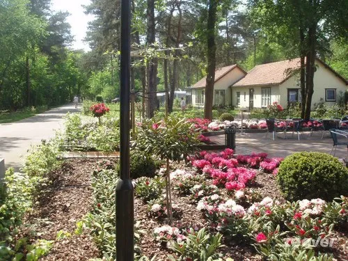 Camping De Heidehoek 6