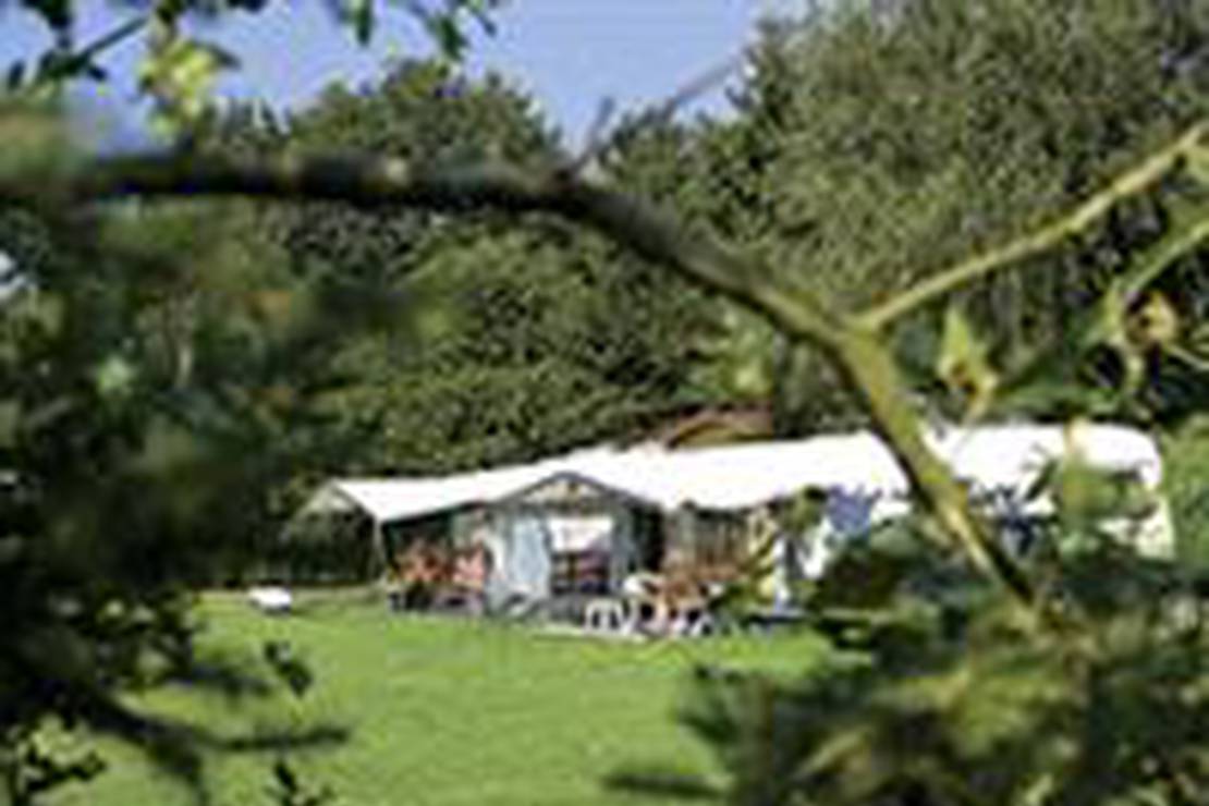 Camping de Holterberg 4