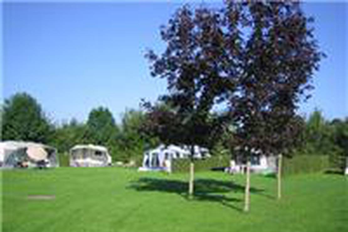 Are dogs allowed at the campsite Camping De Huttert?