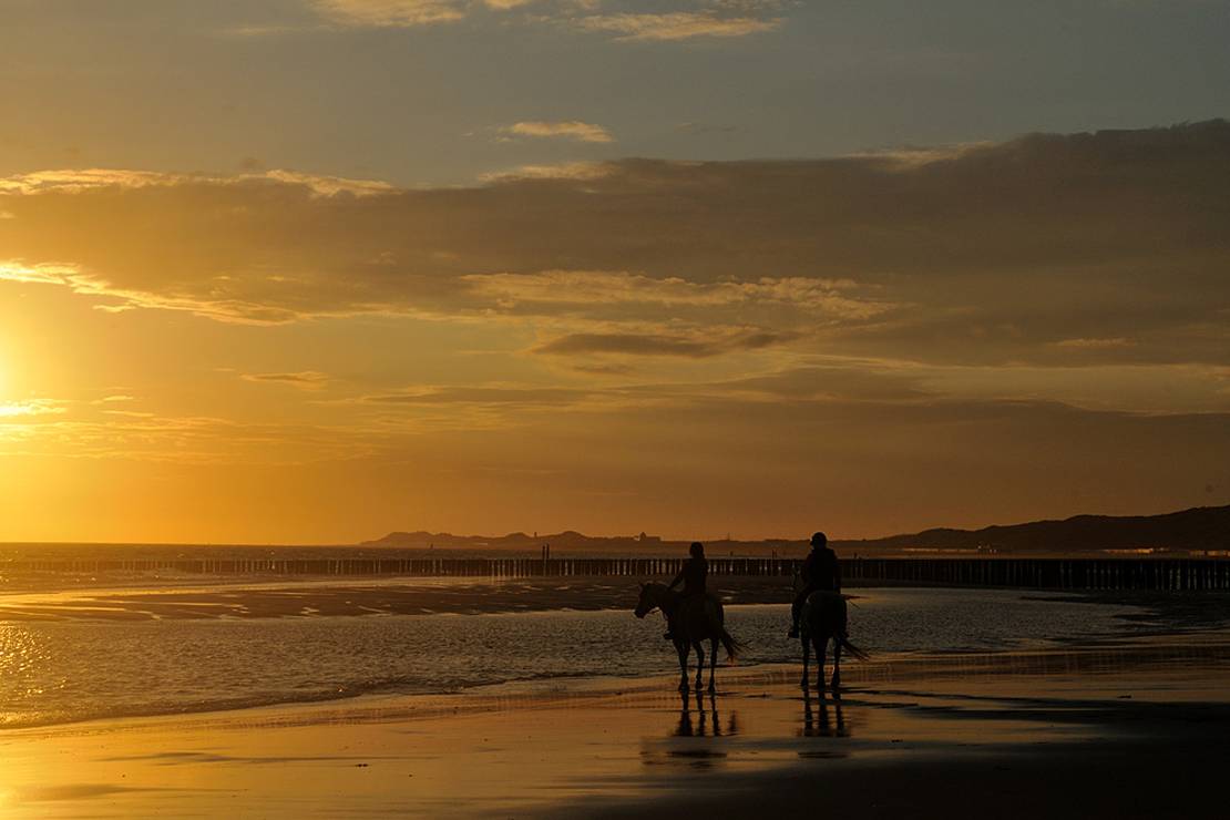 Camping De Kiekendief 4