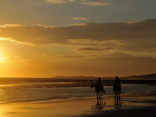 Camping De Kiekendief 3