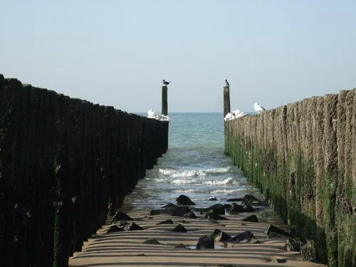 Camping De Kiekendief 5