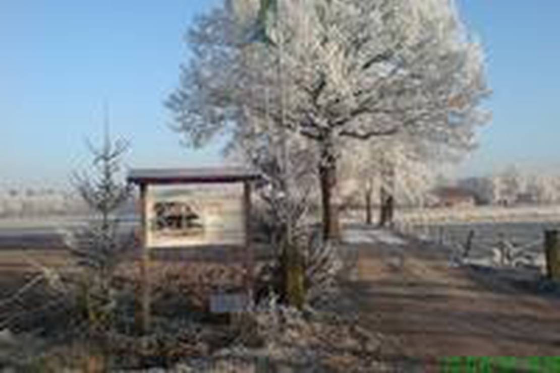 Camping De Kleverkamp 5